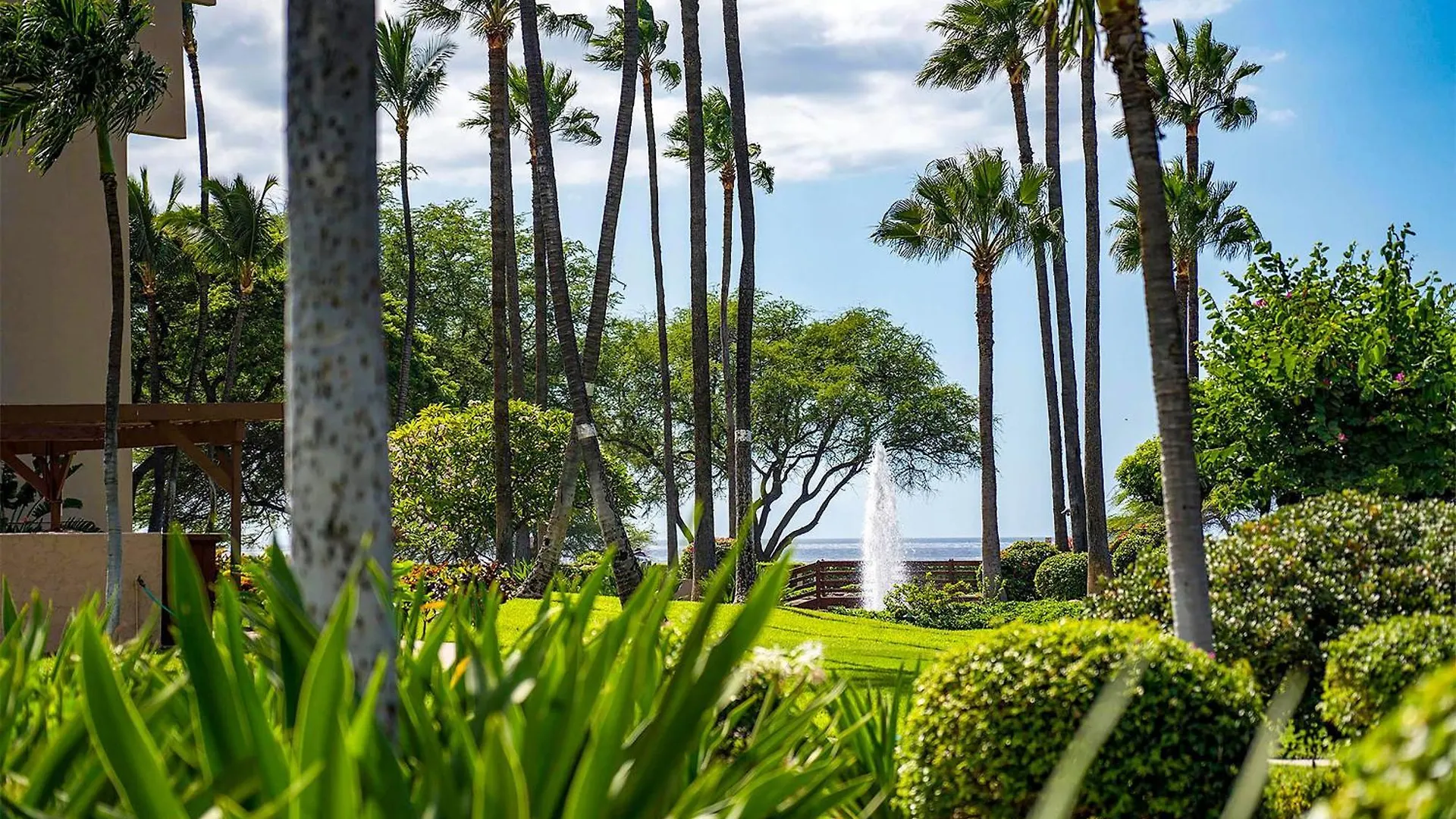 Summer Sale! Penthouse Ocean Views, Spacious Layout, Beautiful Renovation, Ac! Wailea  Holiday home Wailea (Maui)