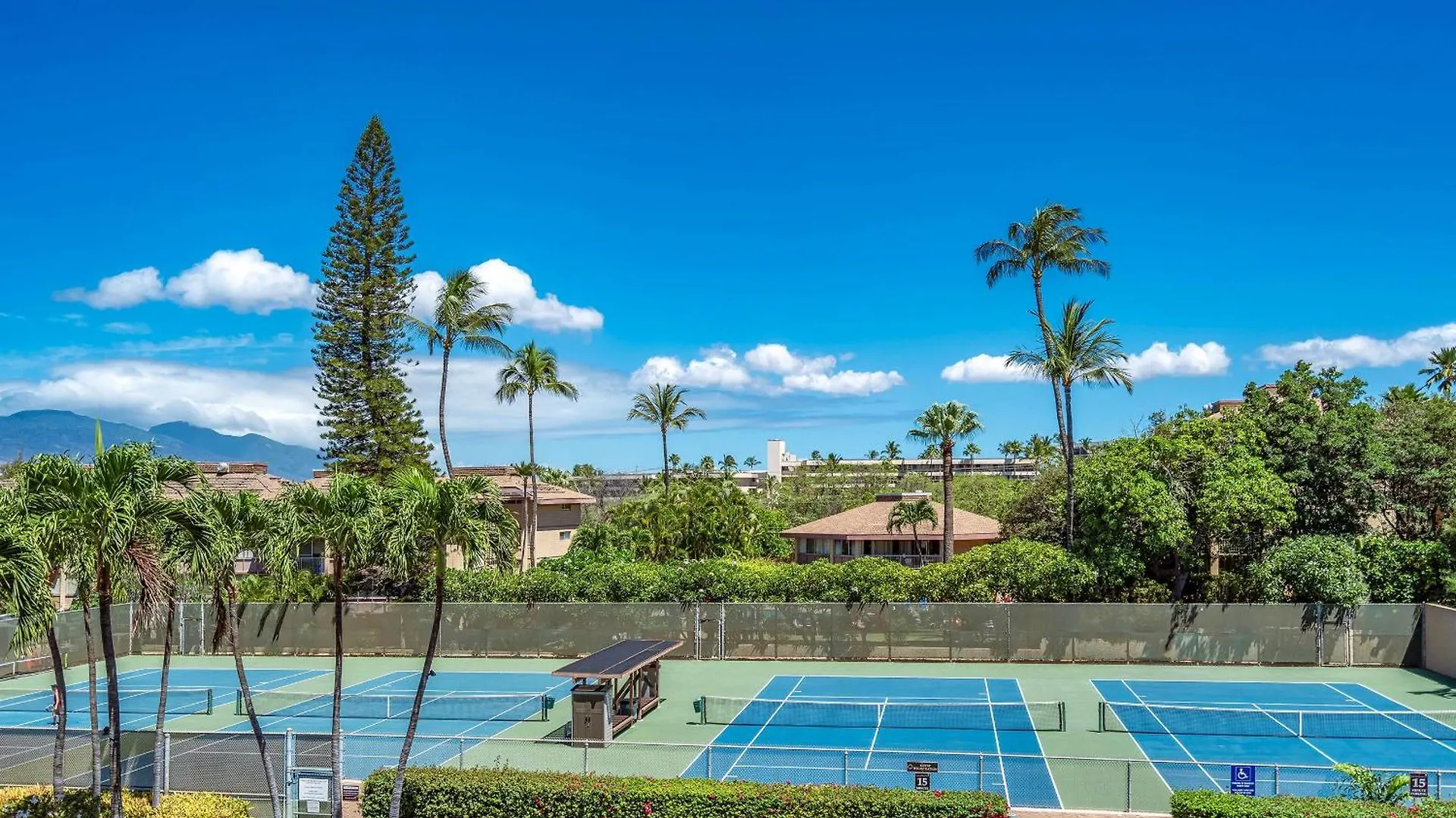 Summer Sale! Penthouse Ocean Views, Spacious Layout, Beautiful Renovation, Ac! Wailea  Wailea (Maui)